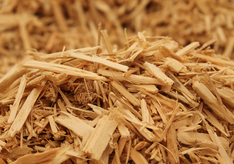 biomass recycling wood